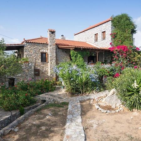 Elise Cottage Βαθύ Εξωτερικό φωτογραφία