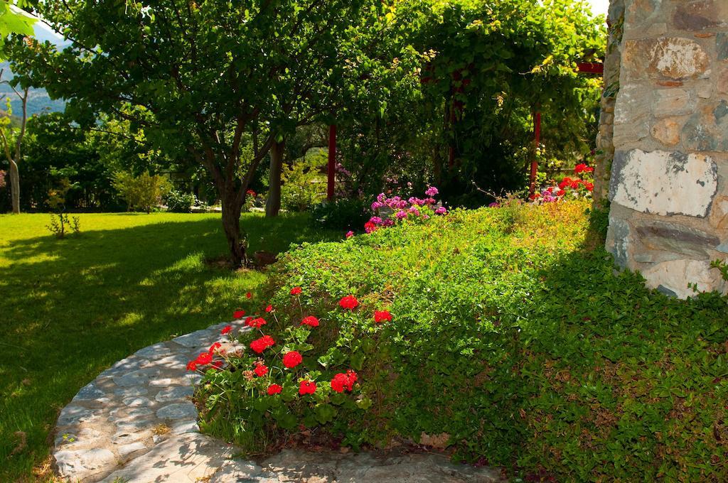 Elise Cottage Βαθύ Δωμάτιο φωτογραφία