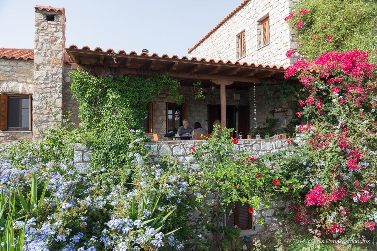 Elise Cottage Βαθύ Εξωτερικό φωτογραφία