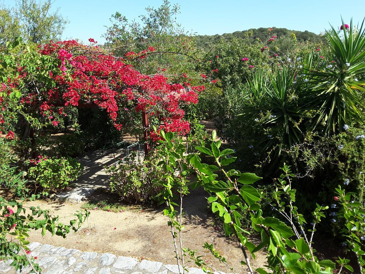 Elise Cottage Βαθύ Εξωτερικό φωτογραφία